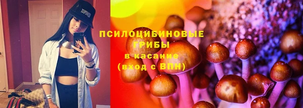 PSILOCYBIN Гусев