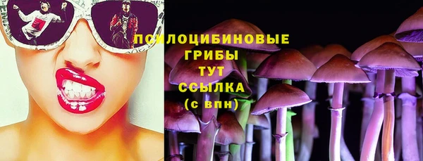 PSILOCYBIN Гусев