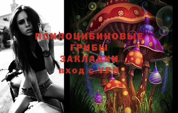 твердый Гусиноозёрск