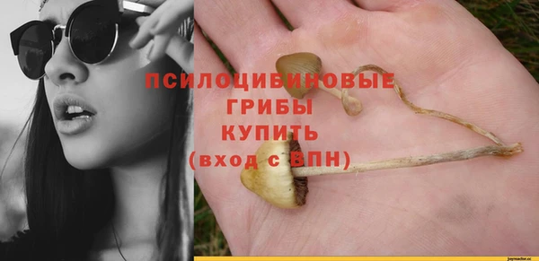 a pvp Горно-Алтайск