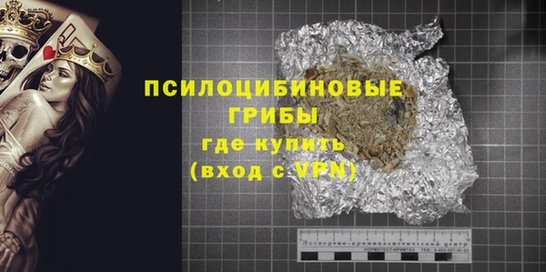 PSILOCYBIN Гусев