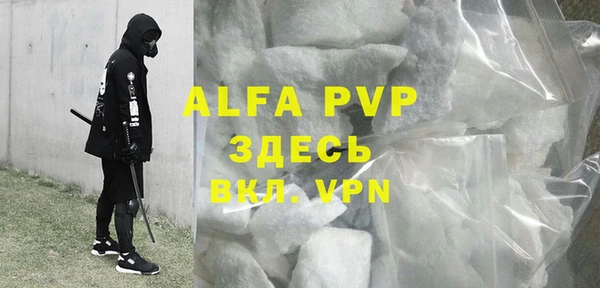 PSILOCYBIN Гусев