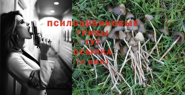 PSILOCYBIN Гусев