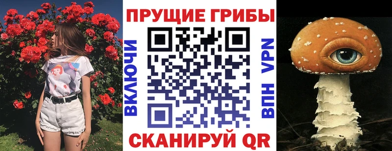 Галлюциногенные грибы Magic Shrooms  hydra зеркало  Могоча 