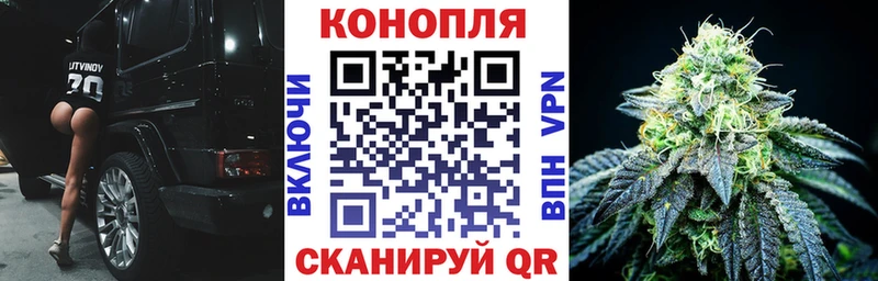 магазин продажи   mega зеркало  Каннабис AK-47  Могоча 